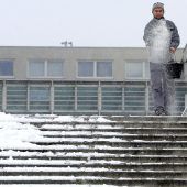 Salz und Eis, das Wintertraumpaar