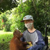 Botschafter der Orang-Utans