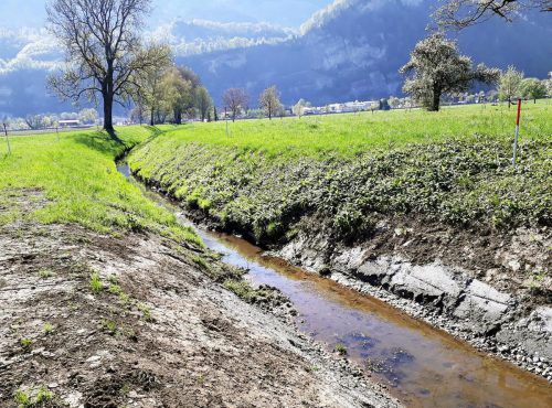 Emsbach und Ermenbach werden auf Vordermann gebracht.  Stadt