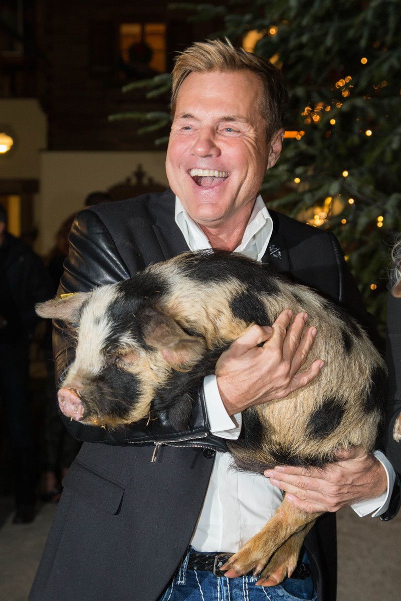 Dieter Bohlen zeigte sich selten emotional – nun spricht er über seine Hochzeit.⇒apa