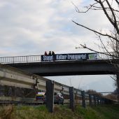 Kein Ende der Kälbertransporte