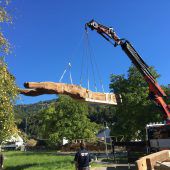 Neue Heimat für den Röthner Torkelbaum