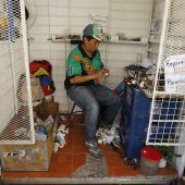 Recycling aus bitterer Not heraus