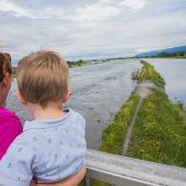 Hochwasseralarm: Starkregen in der Schweiz ließ Rhein mächtig anschwellen. »A5