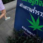 Lustenauer Unternehmer baut in Thailand Cannabis an