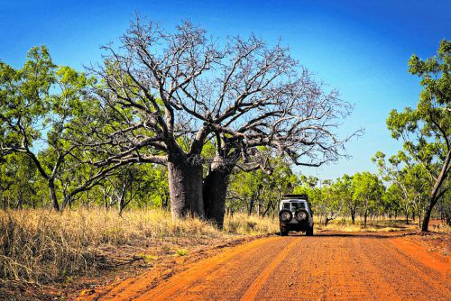 Auf 660 Kilometern führt die Viehtriebstraße durch abwechslungsreiche Natur.