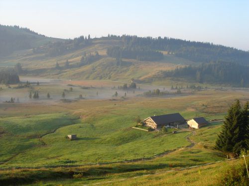 Die vielfältige und vielfach gefährdete Pflanzen- und Tierwelt im Kojen-Moos soll geschützt und dauerhaft erhalten werden.  Archiv