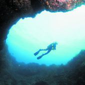 Spektakuläre Unterwasserwelt