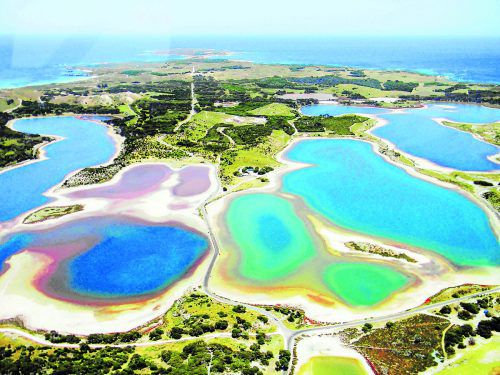 Nur 19 Kilometer von der Küste entfernt befindet sich Rottnest Island.