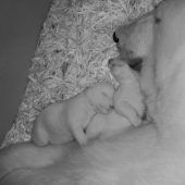 Kuscheln mit Mama