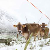 Atmen und der Klimawandel