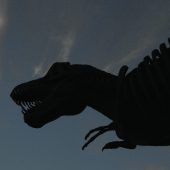 Neue Studie verwirft Theorie von Mini-Art des T. Rex