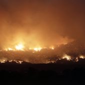 Canberra rief wegen Buschbränden Notstand aus