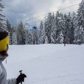 Schneefall bis fast ins Tal küsst das Bödele wach