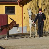 Aufgeweckt ins Leben