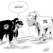 In der rechten Herde!