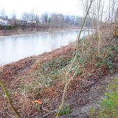 Hochwasserschutz an der Bregenzerach