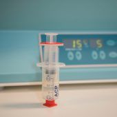 Stammzellen fürs Kniegelenk