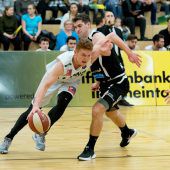 Bissige Löwen stutzten Leader Blackbirds Flügel