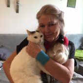 Die Katzenmama