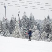Ein kurzer Wintergruß