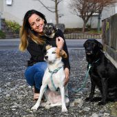 Eine Stimme für Hunde