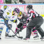 Bei Feldkirch istHerzblut gefragt