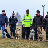 Teambuilding zwischen Mensch und Tier