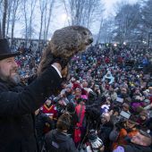 Murmeltier Phil sagt frühen Frühling voraus
