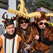 Faschingsfieber in der Alpenstadt