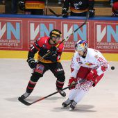VEU auf Play-off-Fährte,Wälder vor Bruderduell