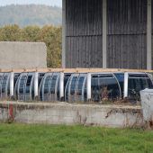 Eine verlockende Alternative