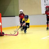 Rollhockey-U9 lud zum Turnier