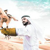 Raubvögel als Teil der Kultur