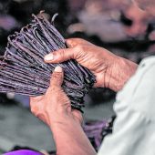 Bourbonvanille: Ein kostbares Gewürz