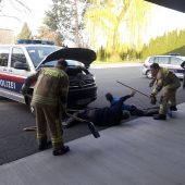 Ratte im Polizeiauto