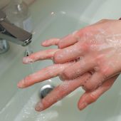 Schulungen in Hygiene haben Konjunktur