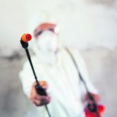 Schädlingsbefall bekämpfen