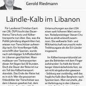 Ländle-Kalb im Libanon