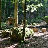 Auf Schusters Rappen rund um Riefensberg