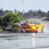Crashtest zeigt: Bei Wildunfällen in der Spur bleiben