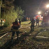 Flammen und Rauch im Wald
