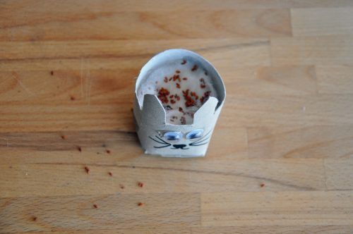 Die Rolle jetzt mit Watte oder Erde auffüllen, eine Prise Kressesamen drüberstreuen und etwas befeuchten.