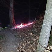Flächenbrand am Pocksberg in Koblach