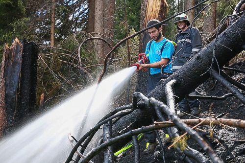 Feuer im Wald. Das kann derzeit schnell passieren. HB