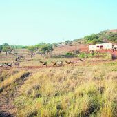 KwaZulu-Natal im Osten Südafrikas