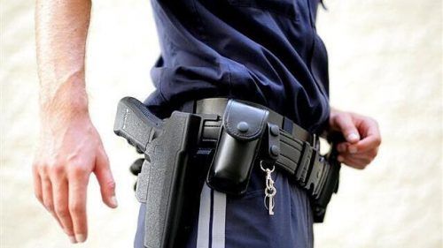 Mitte März gab ein Polizeibeamter in Nenzing nicht unumstrittene Schüsse aus seiner Dienstpistole ab. symbol/polizei