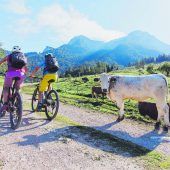 Österreich mit dem Rad erkunden