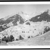 Fontanella