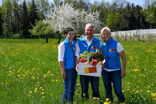 Im Mai startet die Auslieferung der Ländle Gemüsekiste wieder.  VN/Lerch